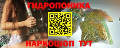 стаф Кимры