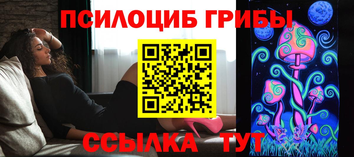 Псилоцибиновые грибы GOLDEN TEACHER Кострома
