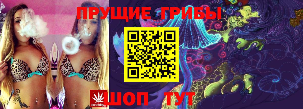 Кострома  Галлюциногенные грибы Psilocybe  Вход с VPN  Галлюциногенные грибы Cubensis 